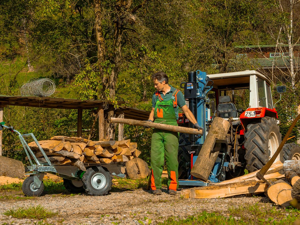 Meterholz auf der Holzmulde.